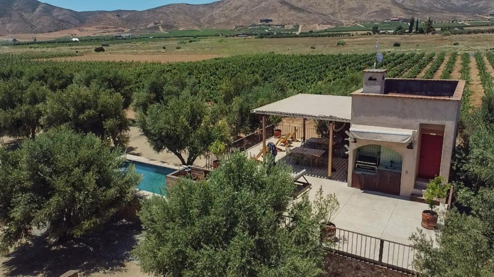 Alma Liebre Vinedos Del Valle Valle de Guadalupe Exterior foto